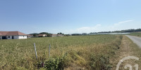 terrain à MASLACQ (64300)