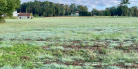 terrain à RAMOUS (64270)