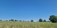 terrain à RAMOUS (64270)