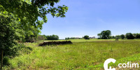 terrain à CASTETIS (64300)