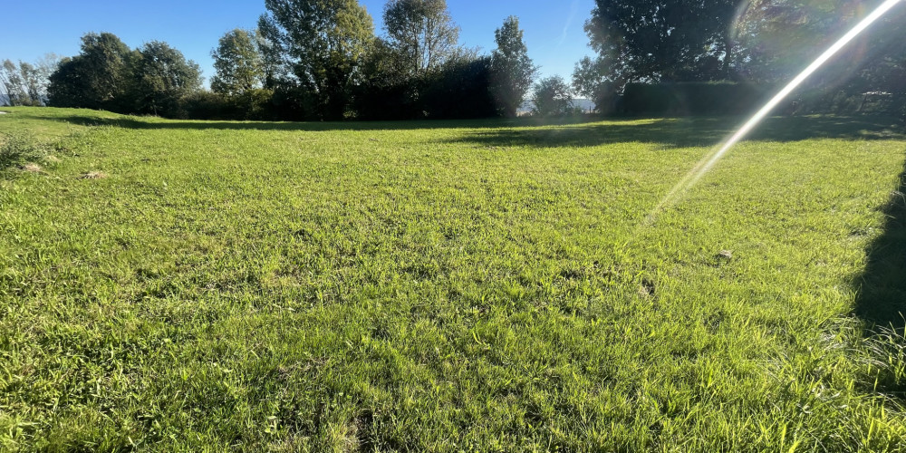 terrain à NAY (64800)