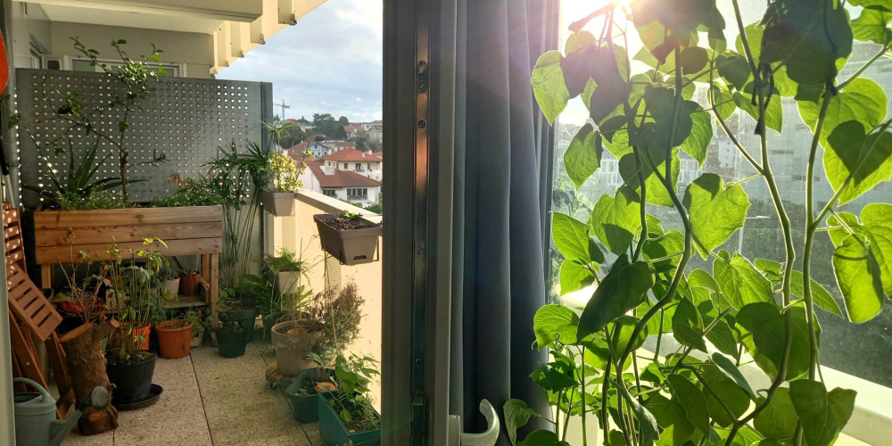 appartement à BAYONNE (64100)