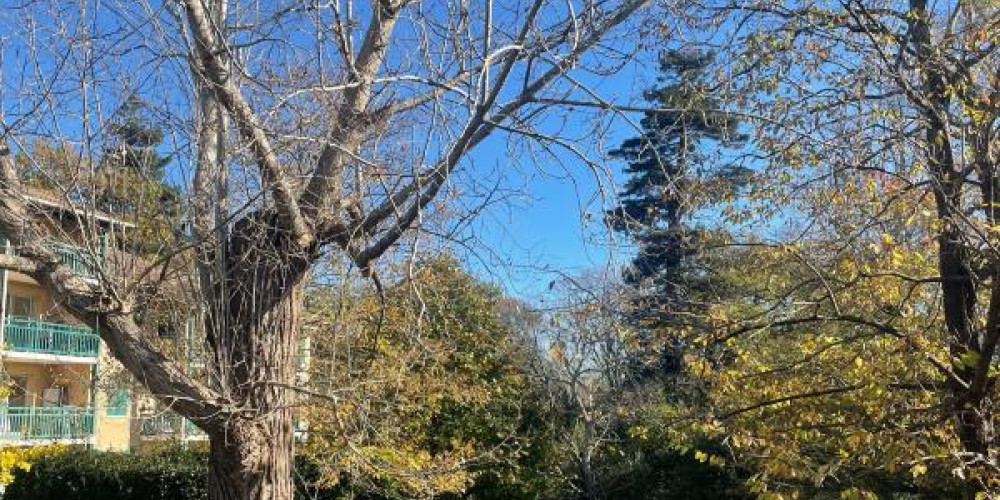 appartement à BAYONNE (64100)