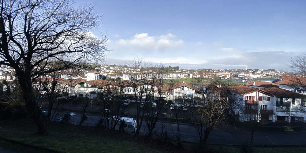 appartement à CIBOURE (64500)
