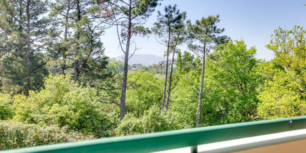 appartement à CIBOURE (64500)