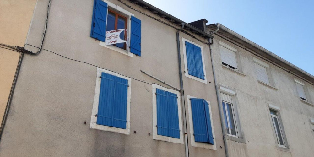 immeuble à NAY (64800)