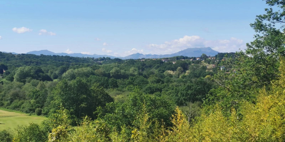 maison à BASSUSSARRY (64200)