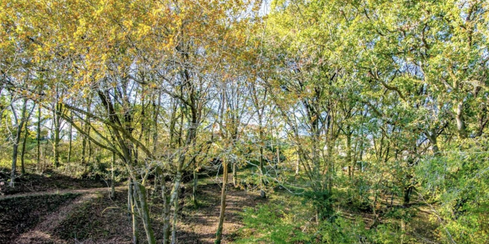 maison à ARBONNE (64210)