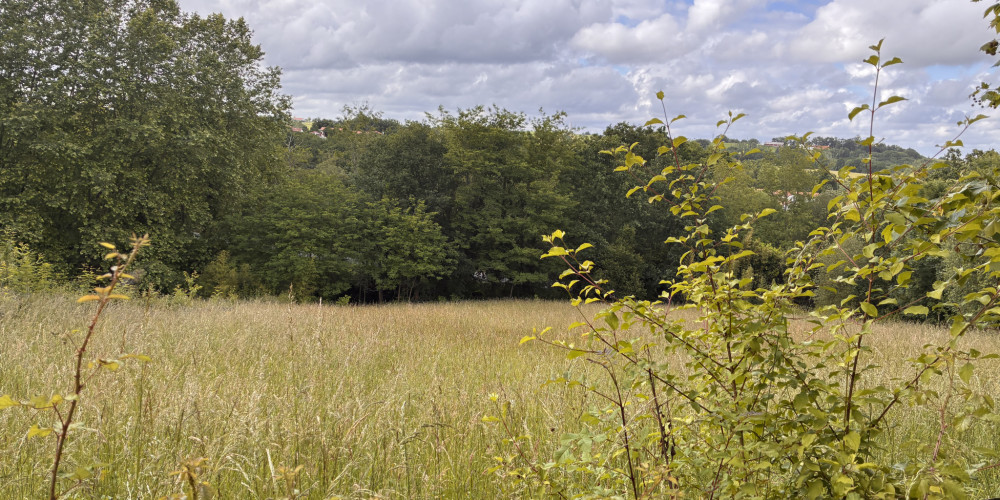 terrain à BRISCOUS (64240)