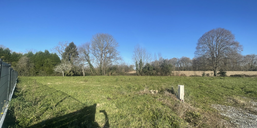 terrain à LIMENDOUS (64420)