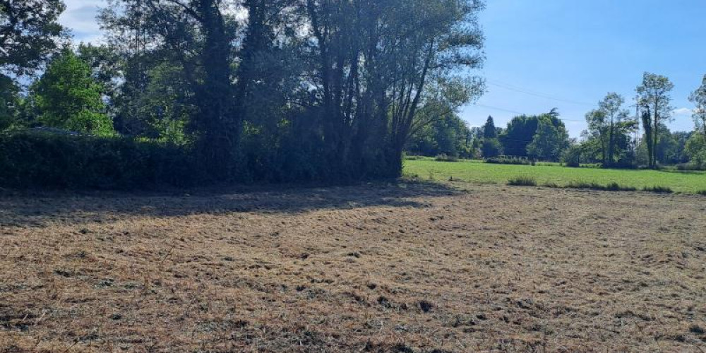 terrain à BENEJACQ (64800)