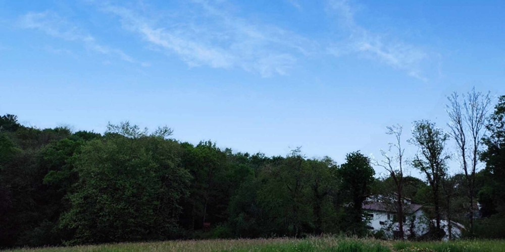 terrain à URCUIT (64990)