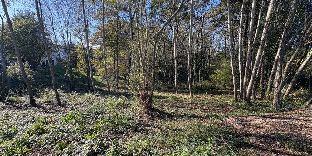 terrain à URCUIT (64990)