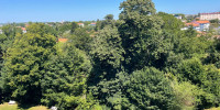 appartement à ANGLET (64600)