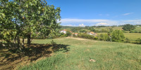 terrain à BRISCOUS (64240)