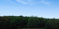terrain à URCUIT (64990)