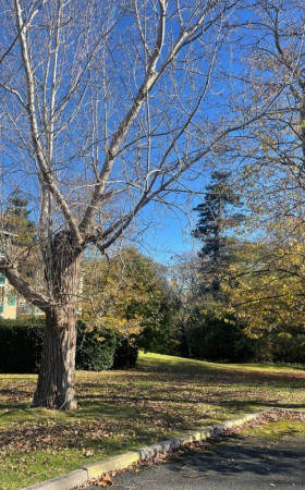 Appartement  BAYONNE