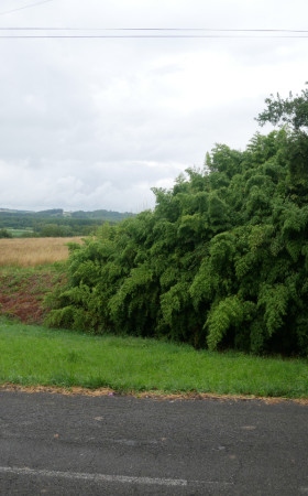 Terrain  BIDACHE