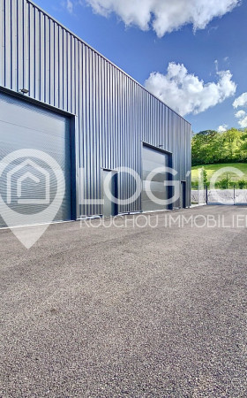 Local commercial  SAMSONS LION