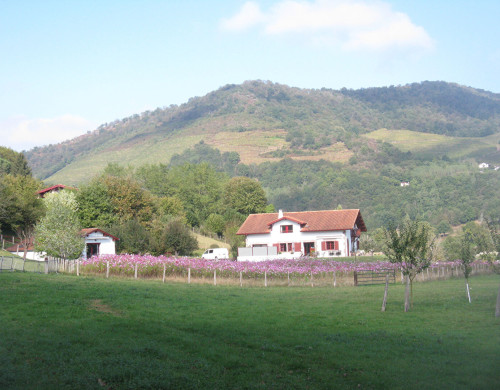 maison  ST JEAN PIED DE PORT