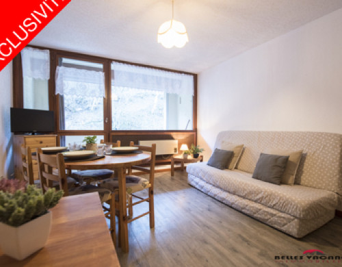 appartement  ST LARY SOULAN