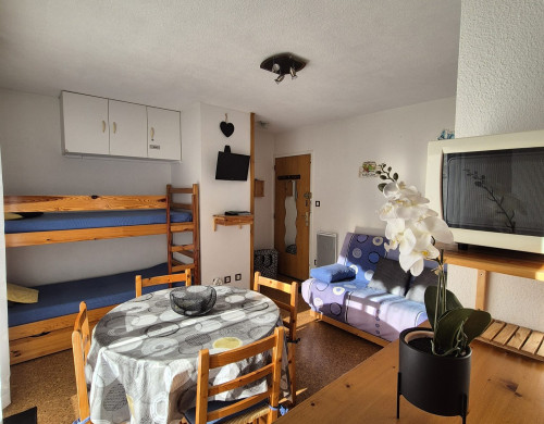 appartement  ST LARY SOULAN