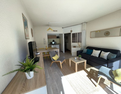 appartement  ST LARY SOULAN