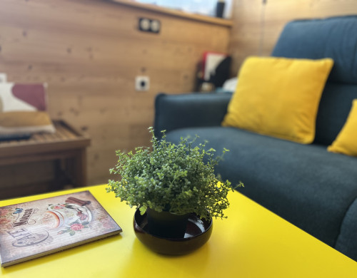 appartement  ST LARY SOULAN